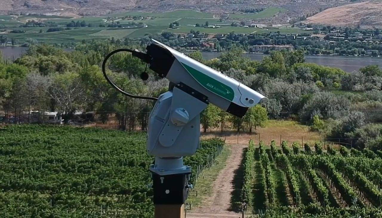 Láser AVIX Autonomic Mark II instalado en un viñedo